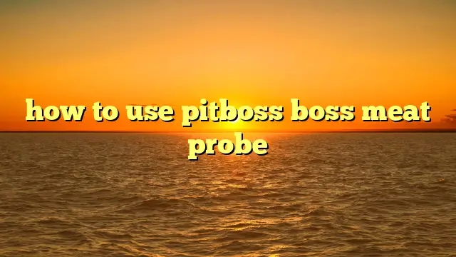 Pit Boss Meat Probe